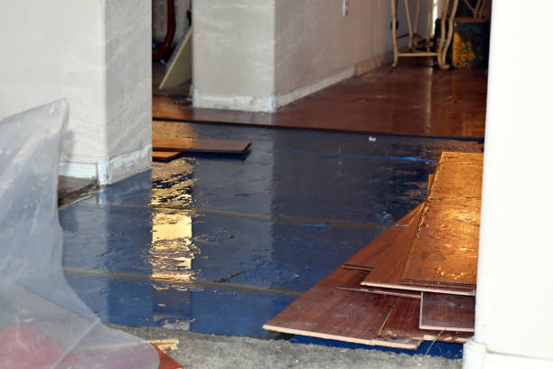 Professional Flood Cleanup technician working in Shelby, MI